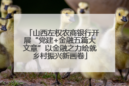 山西左权农商银行开展“党建+金融五篇大文章”以金融之力绘就乡村振兴新画卷